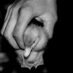 eos5+540ez+105macro+fp4+elit�5400