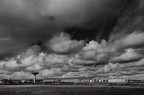 Last_Landscape Last_Landscape