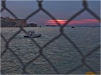 ...libertà ...libertà