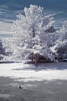 IR_0322 IR_0322