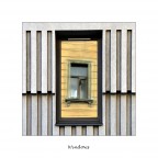 Windows Windows