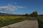 Strade. Strade.
