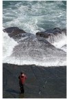 fishing fishing