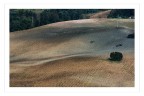 Le mie colline Le mie colline