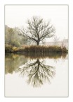 alberi 2 alberi 2