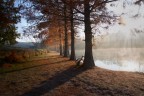 IMG_8649 IMG_8649