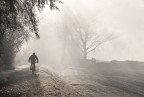 pedalando nella nebbia