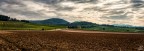 ..terre di vini.. ..terre di vini..