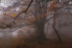 IMG_3580 IMG_3580
