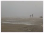 nebbia.... nebbia....