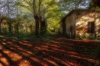 ..un vecchio mondo.. ..un vecchio mondo..