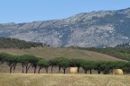 Piani schiacciati Piani schiacciati