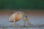 un'esplosione d'acqua.... un'esplosione d'acqua....
