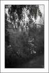 pianto d'Autunno ;/) pianto d'Autunno ;/)