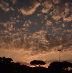 Alba Alba