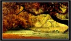 Al parco.. .. Al parco.. ..
