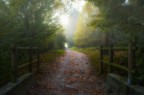 Soffice autunno Soffice autunno