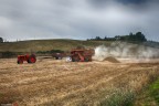Vecchi Mestieri di campagna Vecchi Mestieri di campagna