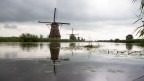 Kinderdijk 1/4 Kinderdijk 1/4