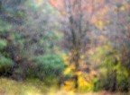 Gocce d'Autunno Gocce d'Autunno
