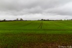 Il campo coltivato