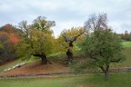 Autunno 3 Autunno 3