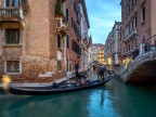 Mossi veneziani Mossi veneziani
