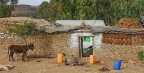 Il ciuco Il ciuco