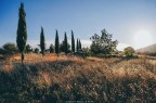 Colori di Puglia Colori di Puglia
