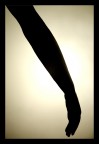 Arm Arm