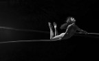 Linea muscolare