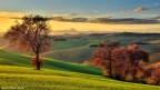 Una splendida luce Una splendida luce