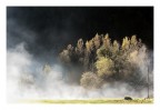 brume autunnali brume autunnali