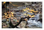ultime tracce d'autunno ultime tracce d'autunno