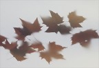 Bianco autunno Bianco autunno