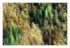 ed è ancora.....autunno ed è ancora.....autunno