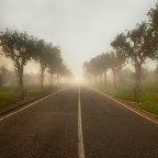 ..the road for fog..
