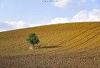 Due occhi non bastano per la Puglia Due occhi non bastano per la Puglia