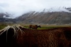 Castelluccio 2018 Castelluccio 2018