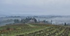 Colline.. San Gimignano. Colline.. San Gimignano.