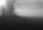nebbia lungo l'Adda nebbia lungo l'Adda
