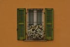 yellow window yellow window