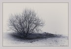 Mare d'inverno: dune Mare d'inverno: dune