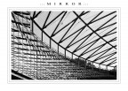 ::: M I R R O R :::