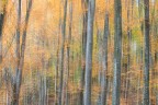 Autunno Autunno