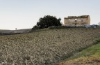 Il casolare...2 Il casolare...2