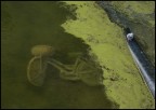 bici bici