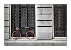 La bici La bici