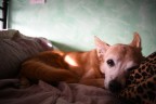 Test d3400 - importazione a 2 mpx Test d3400 - importazione a 2 mpx