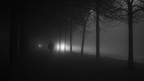 Lights in the night II